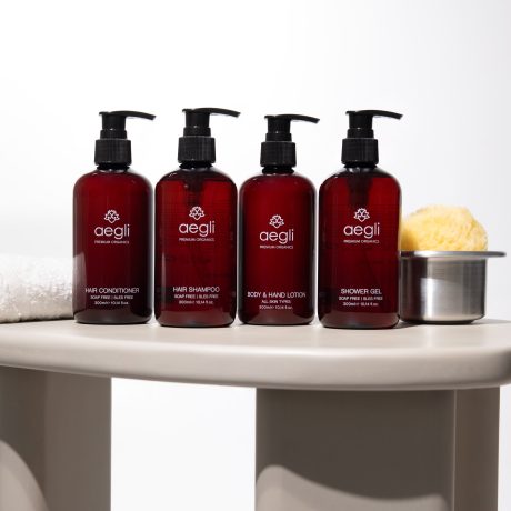 aegli still life-047