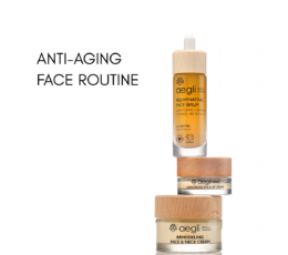 ANTI-AGING FACE ROUTINE